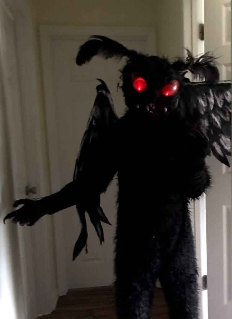 Mothman Cosplay - What’s been Updated | Urban Legends & Cryptids Amino