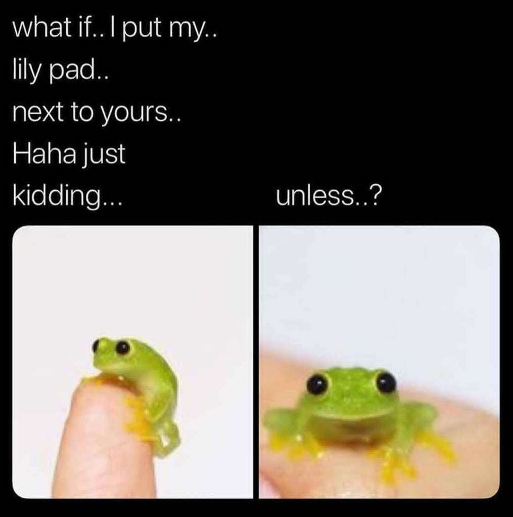 frogs really are | Dank Memes Amino