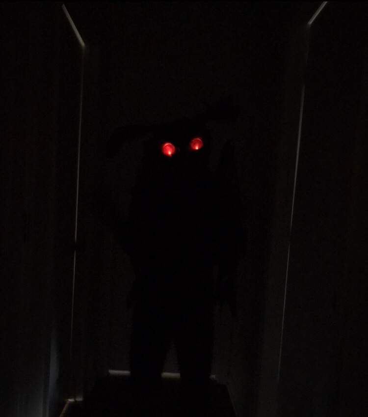 Mothman Cosplay - What’s been Updated | Urban Legends & Cryptids Amino