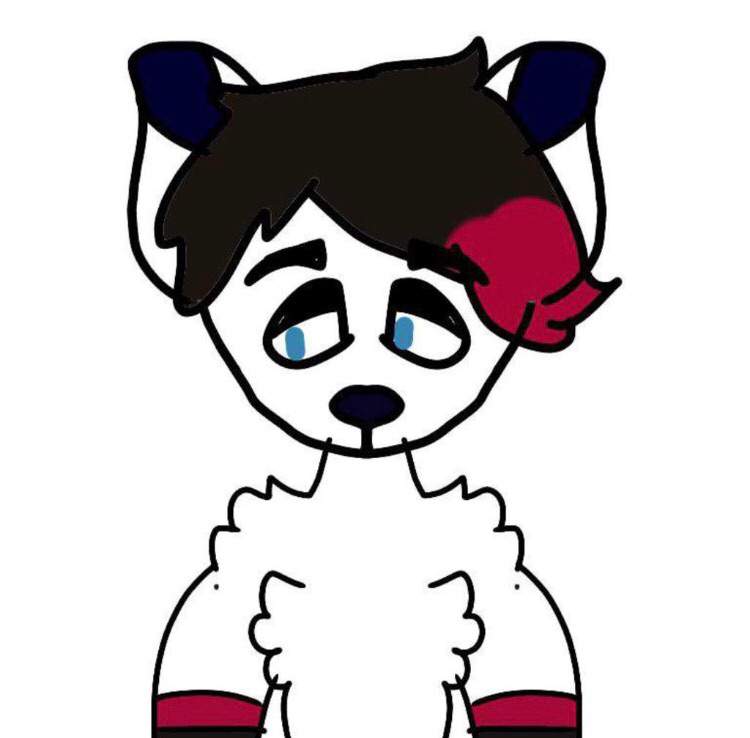 Zach | Wiki | Furry Amino