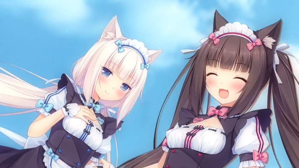 ♥️Кошачий Рай♥️ Amino