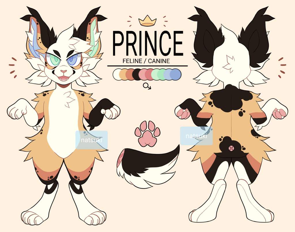 Reference Sheet Furry Amino