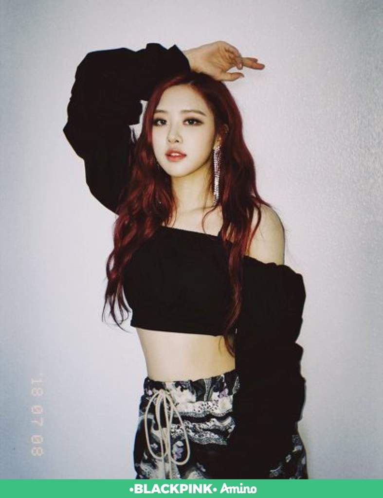 ۞̶⚘̶ௐ̶ ̶rose_are_rosie۞̶⚘̶ௐ̶ ̶ | •BLACKPINK• Amino