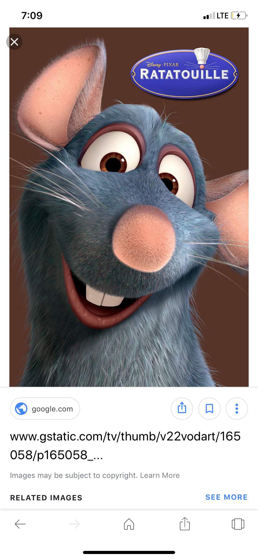 Why does Remi have the same name as the rat from Ratatouille ...