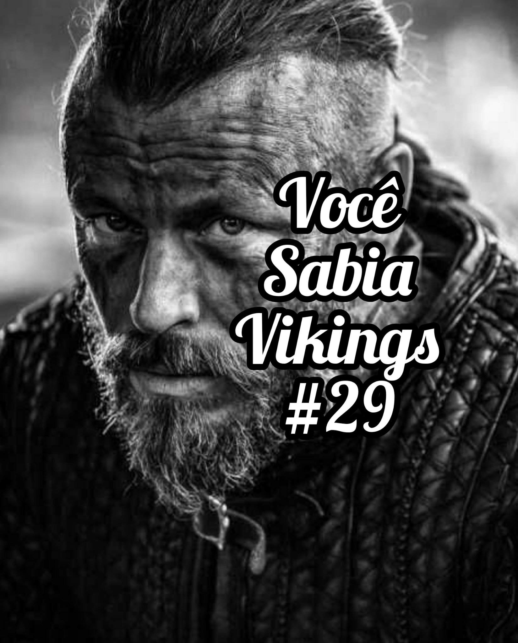 ᏉᎾℂℰ ЅᎯℬℐᎯ ᏉℐᏦℐℕᎶЅ #29 | The Vikings BR Amino