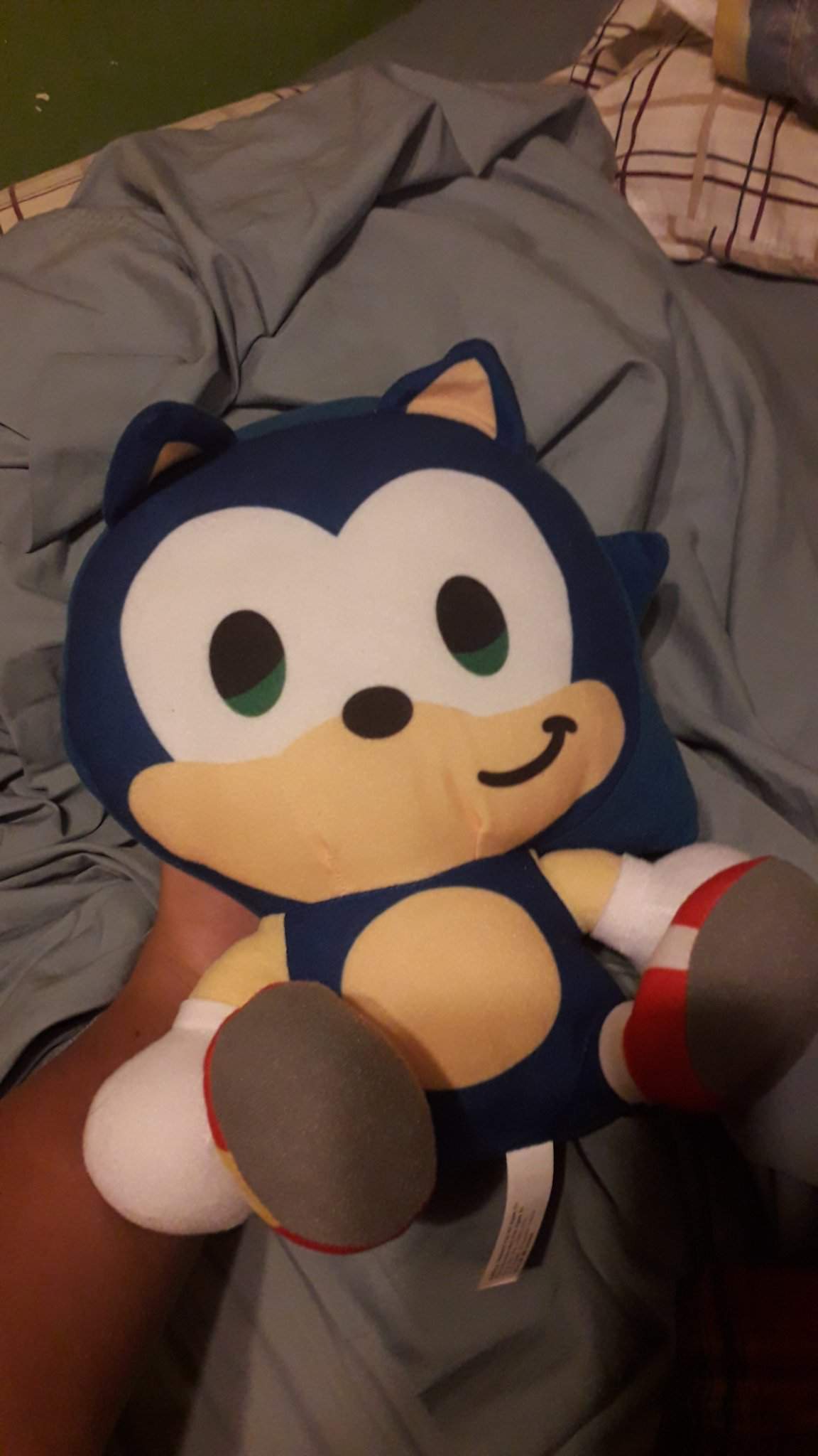 Crane Game Win :) | Sonic the Hedgehog! Amino