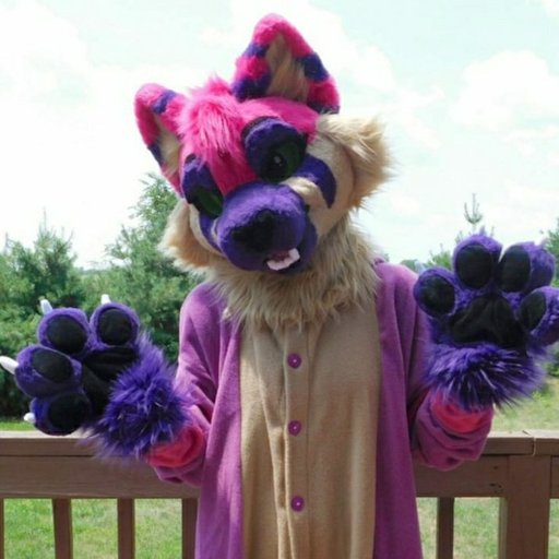 Fae the Ferret Fursuit Maker Amino Amino