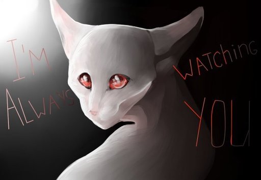 Scp 040 jp. СЦП 040 jp. SCP 040 кошка.