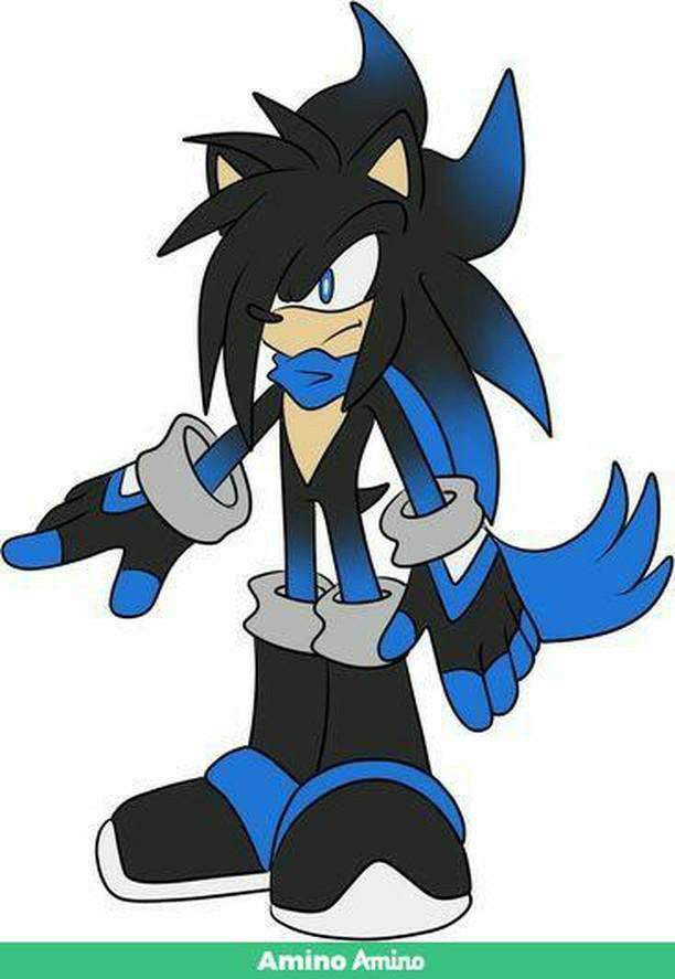 Blitz The Hedgewolf | Wiki | Sonic Omniverse Amino