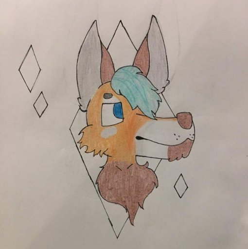 Rico Coyote | Wiki | Furry Amino