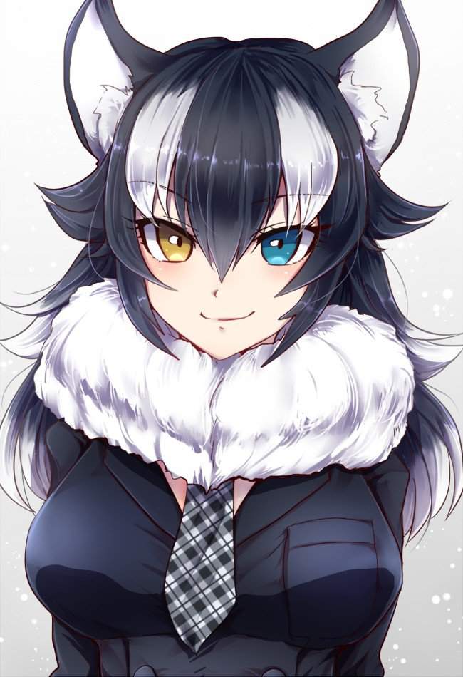 Grey Wolf | Wiki | 🌟AnimeNation🌟 Amino