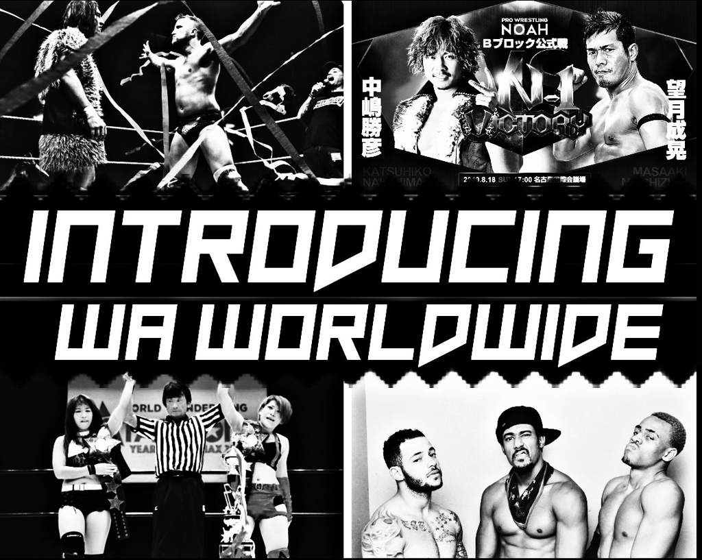 Introducing WA Worldwide Wrestling Amino
