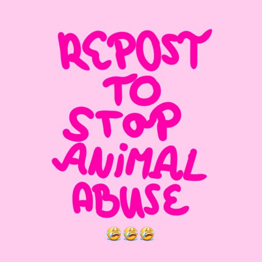 Featured Milky Kitty S Dead Amino Amino - stop animal abuse kitten roblox