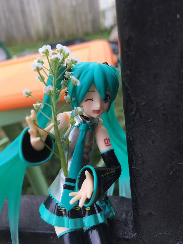 miku toy