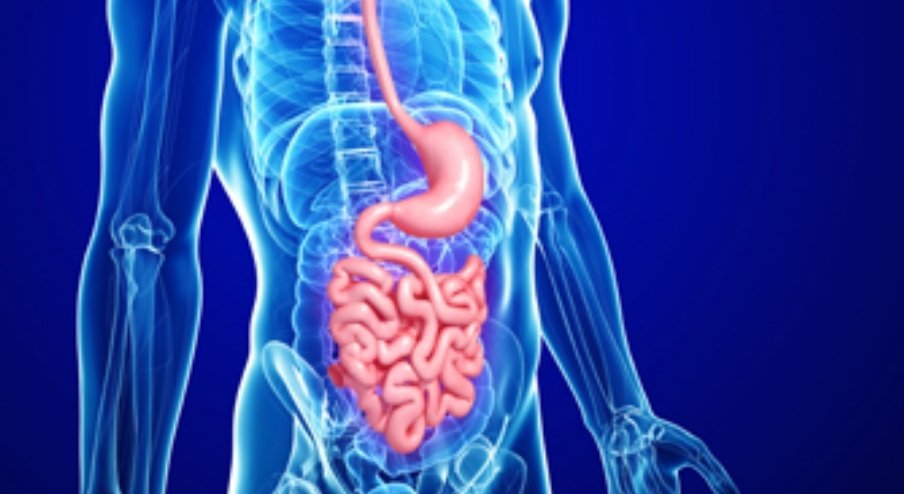 Maladie De Crohn Comment On L'attrape La Maladie De Crohn | Wiki | 💊Médecine 💊 Amino