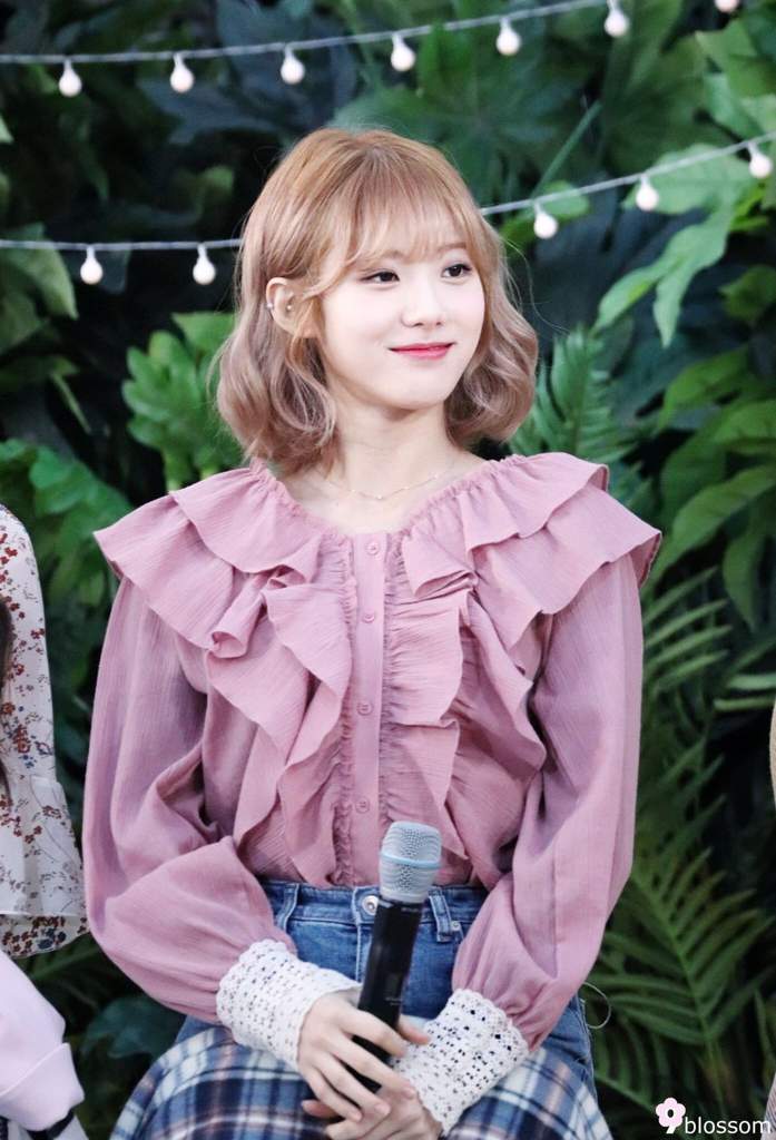 Luda Wiki Cosmic Girls [wjsn] Amino Amino