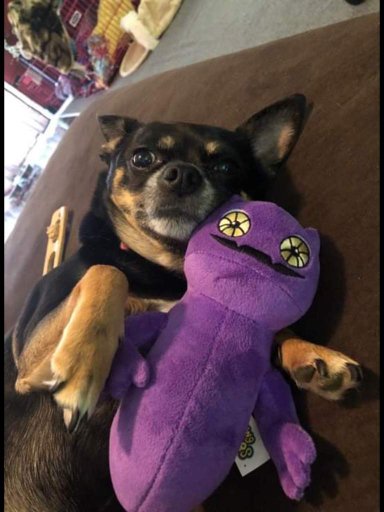 my singing monsters ghazt plush