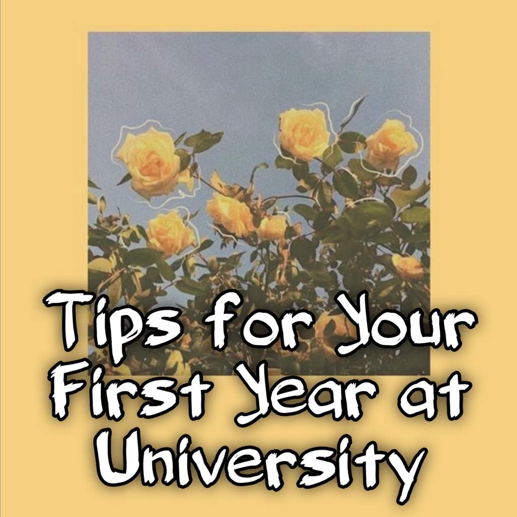 five-tips-for-first-year-university-students-style-etcetera