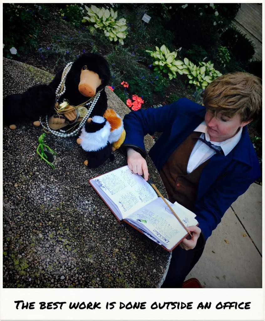 newt scamander a movie scrapbook