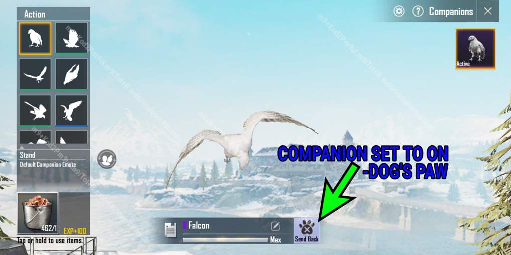 Companion Beta 0143 Pubg Mobile Amino