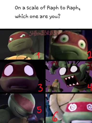 Leo meme | TMNT HQ Amino