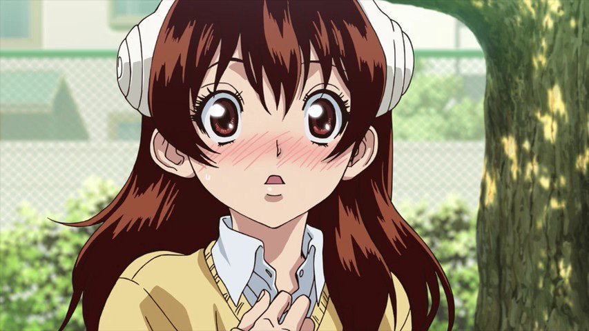 Yuzuriha | Wiki | Dr Stone Amino Amino