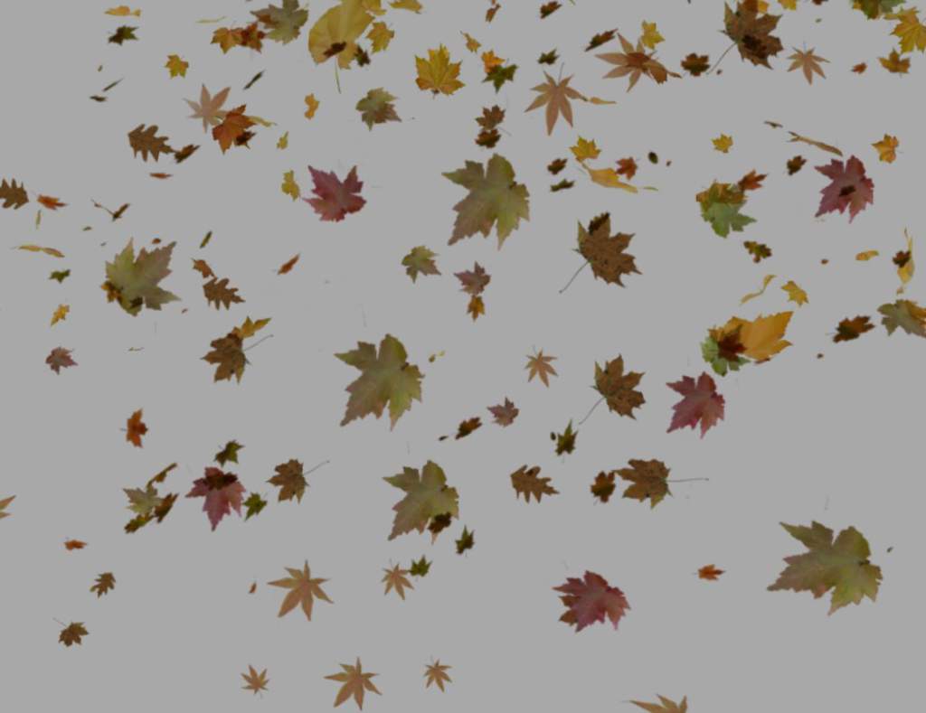 fallenleaf fallenleaf