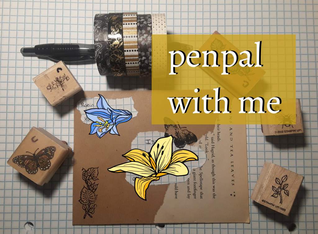 penpals tell me why meaning