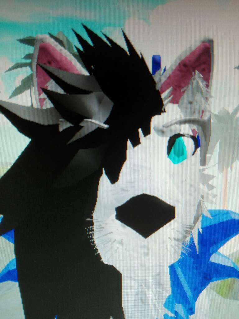 Kuyaaｗｄ Wolf Amino Amino - warrior cat building and rp read desc roblox