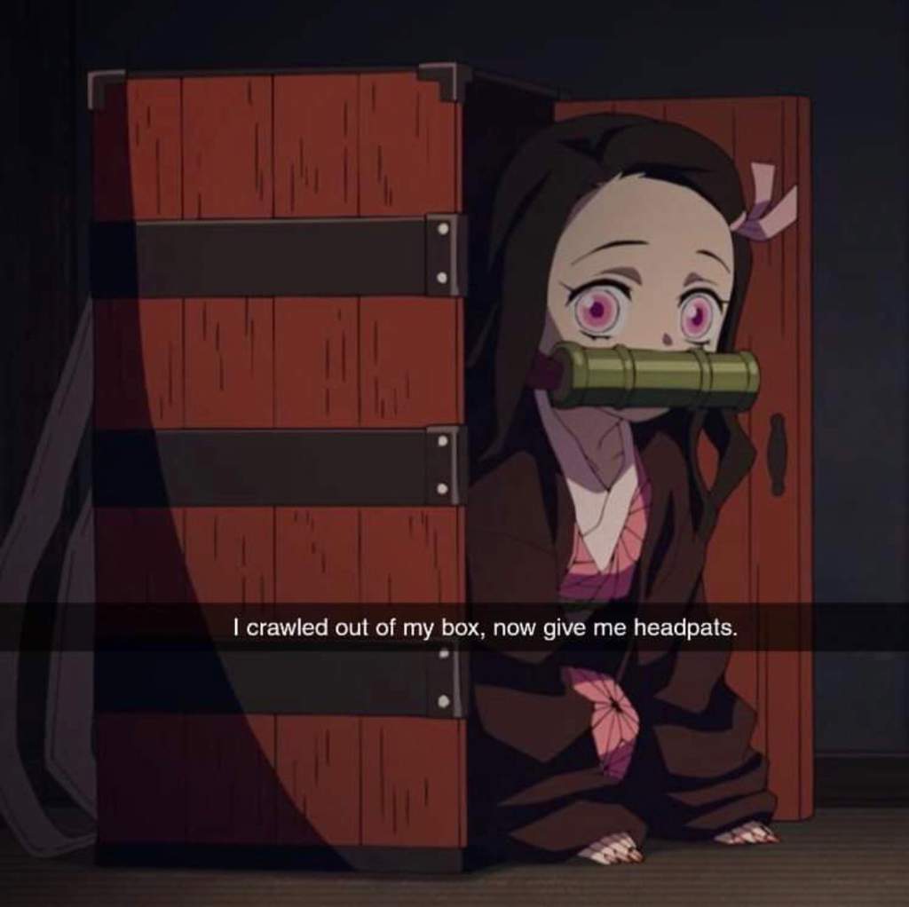 nezuko blind box