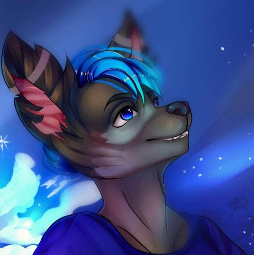 Stargazing | Furry Amino