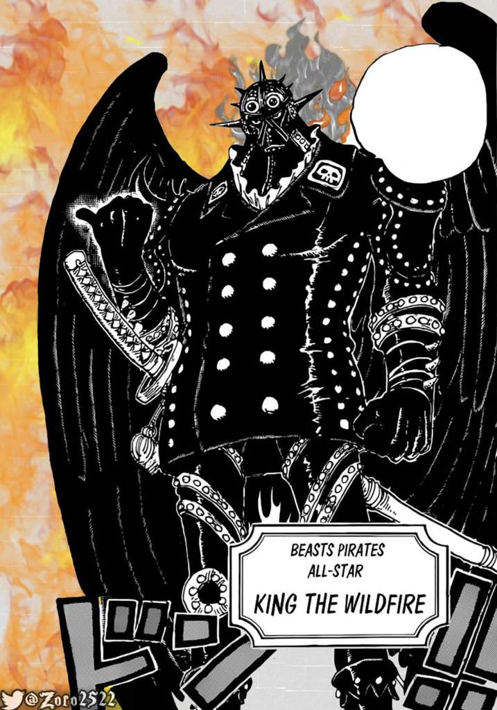 Rolling To Be The King Manga King | Wiki | •One Piece• Amino
