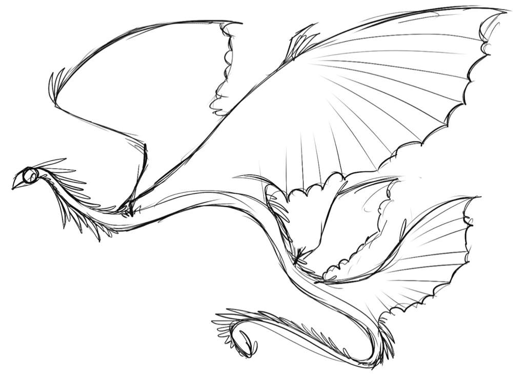 air-dragon-species-dragons-amino