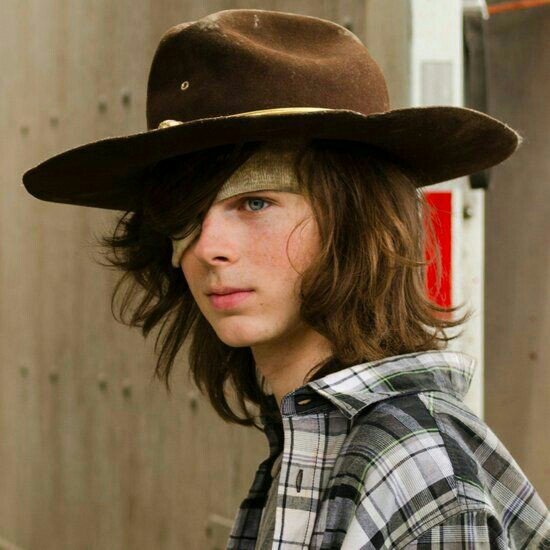 Carl Grimes | Wiki | •Walkers Br• Amino