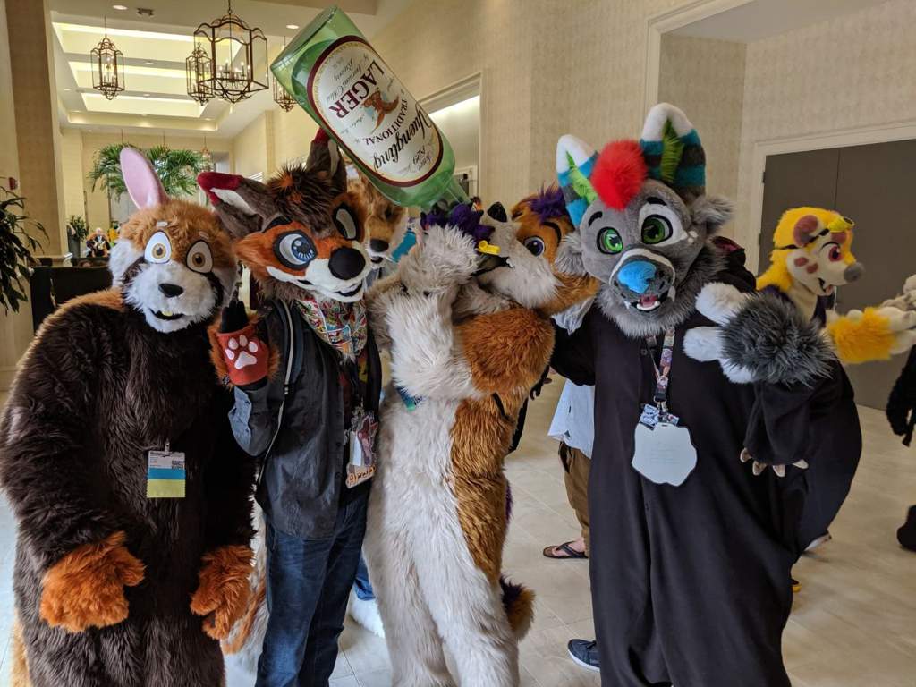 My first con: Megaplex 2019 | Wiki | Furry Amino