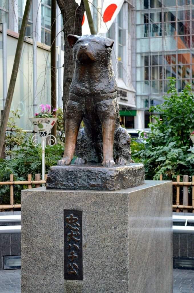 Хатико памятник японии