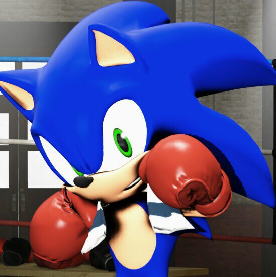 Sonic Boxing