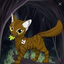 Листвичка коты воители