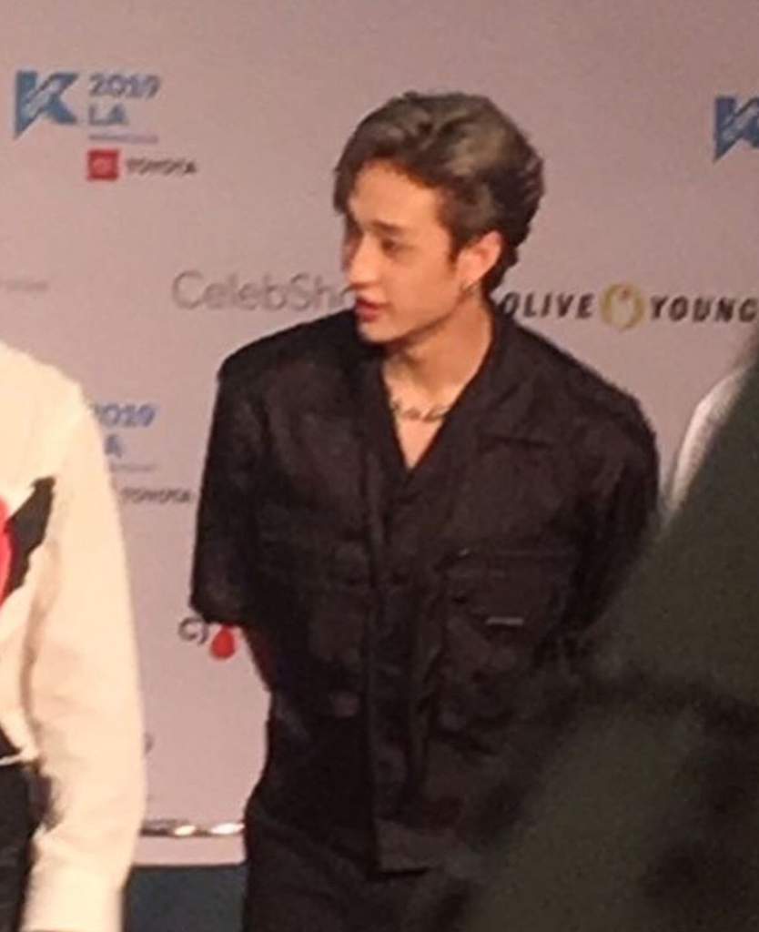 Chan Grey Hair Stray Kids Amino