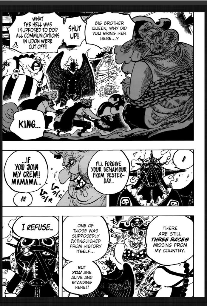 What Is King Race And Third Unkown Race One Piece Amino