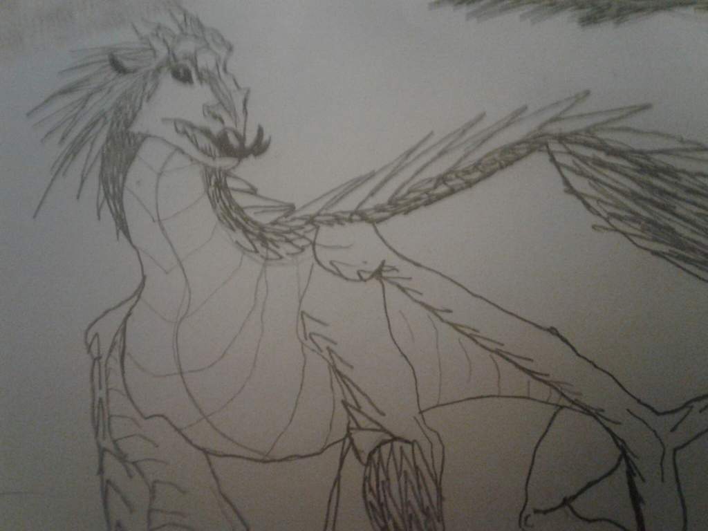 Prince Blizzard The IceWing | Wiki | Wings Of Fire Amino