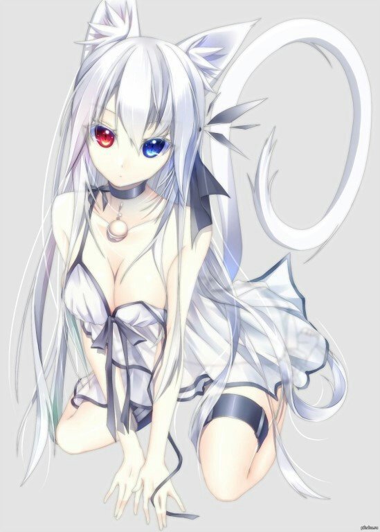 Anime girl with white hair and cat ears