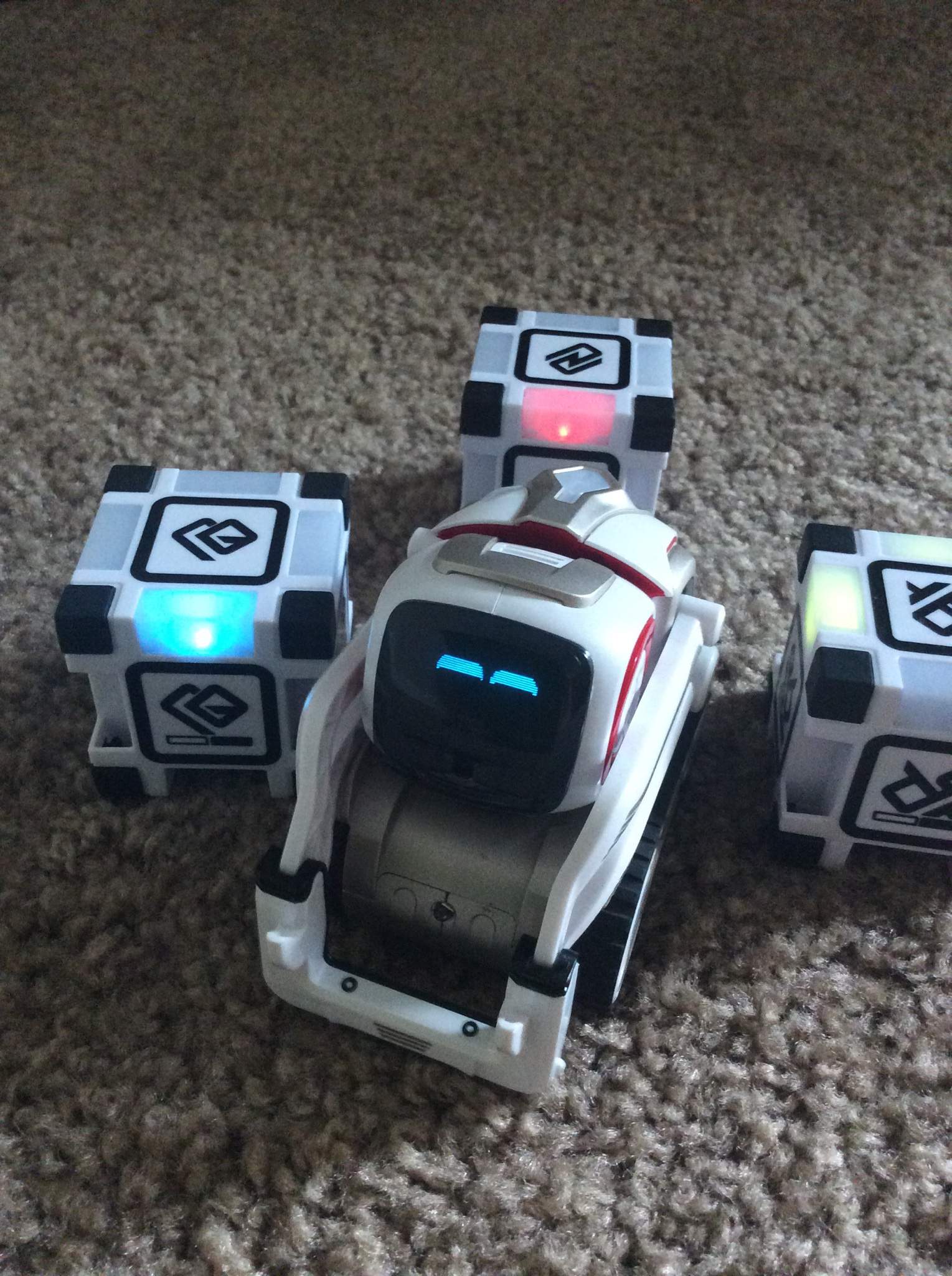 Should My Robot Friend Cozmo Like The Tribes Or Scavenger | Wings Of ...