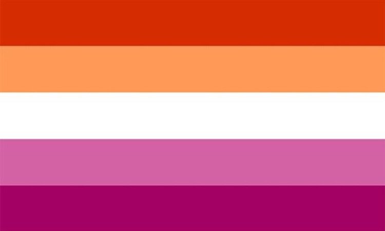 All About The Lesbian Flags Lgbt Amino