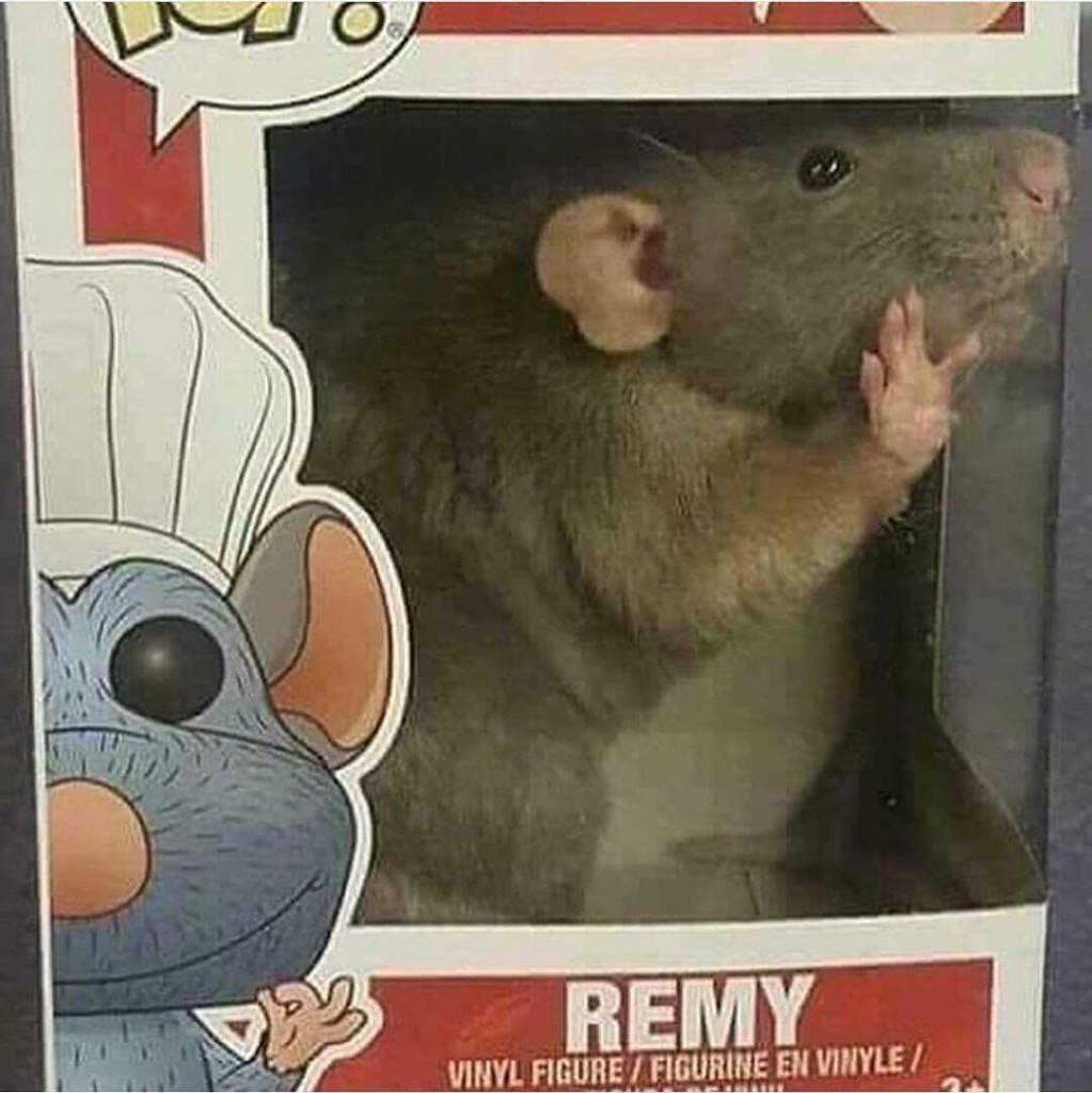 ratatouille funko pop meme