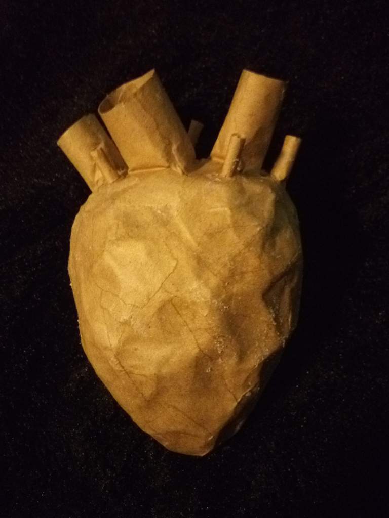 Paper Maché Heart | Horror Amino