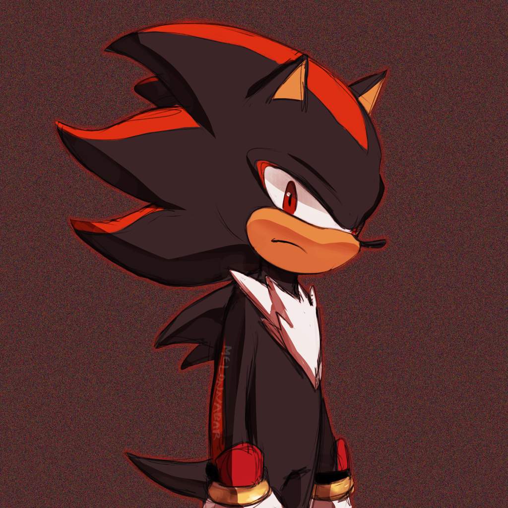 Shadow the Hedgehog | Sonic the Hedgehog! Amino