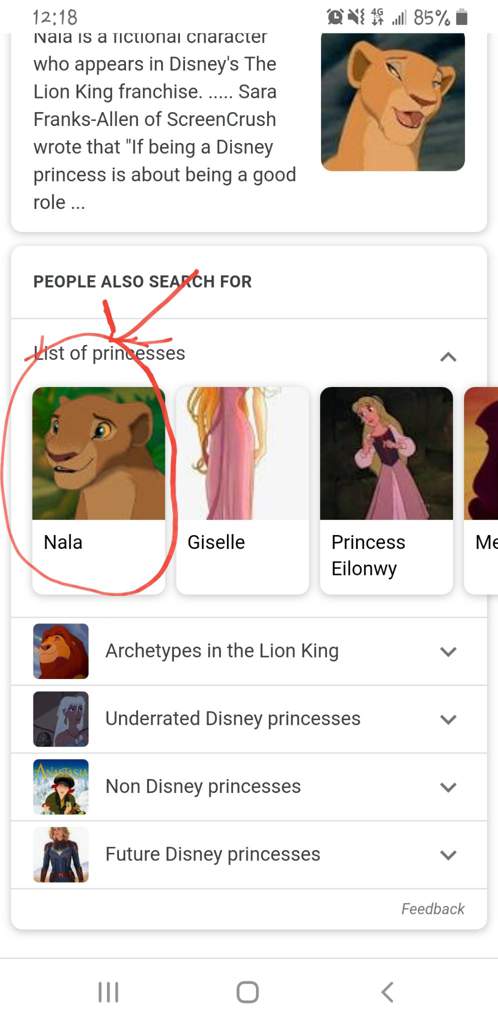 Is nala a princess