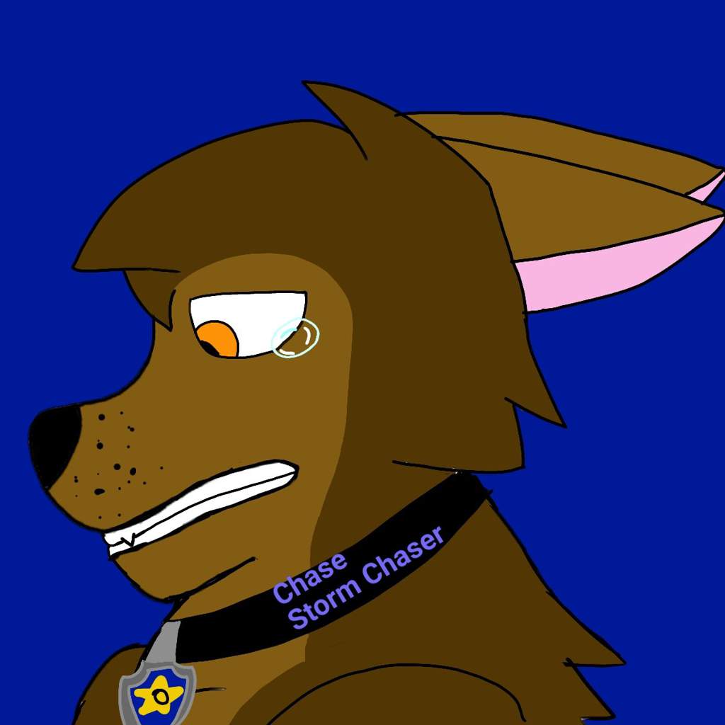 paw patrol chase sad
