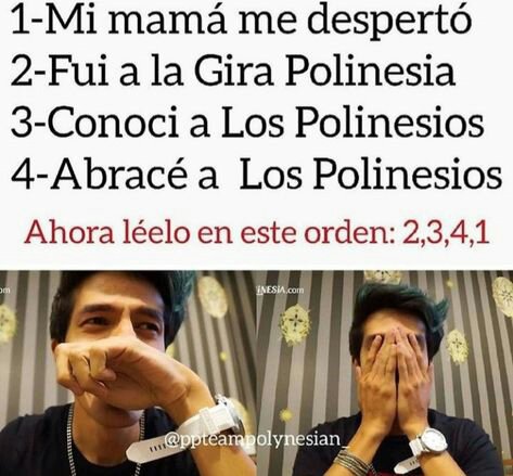 Memes ? | Los Polinesios • Amino • Amino